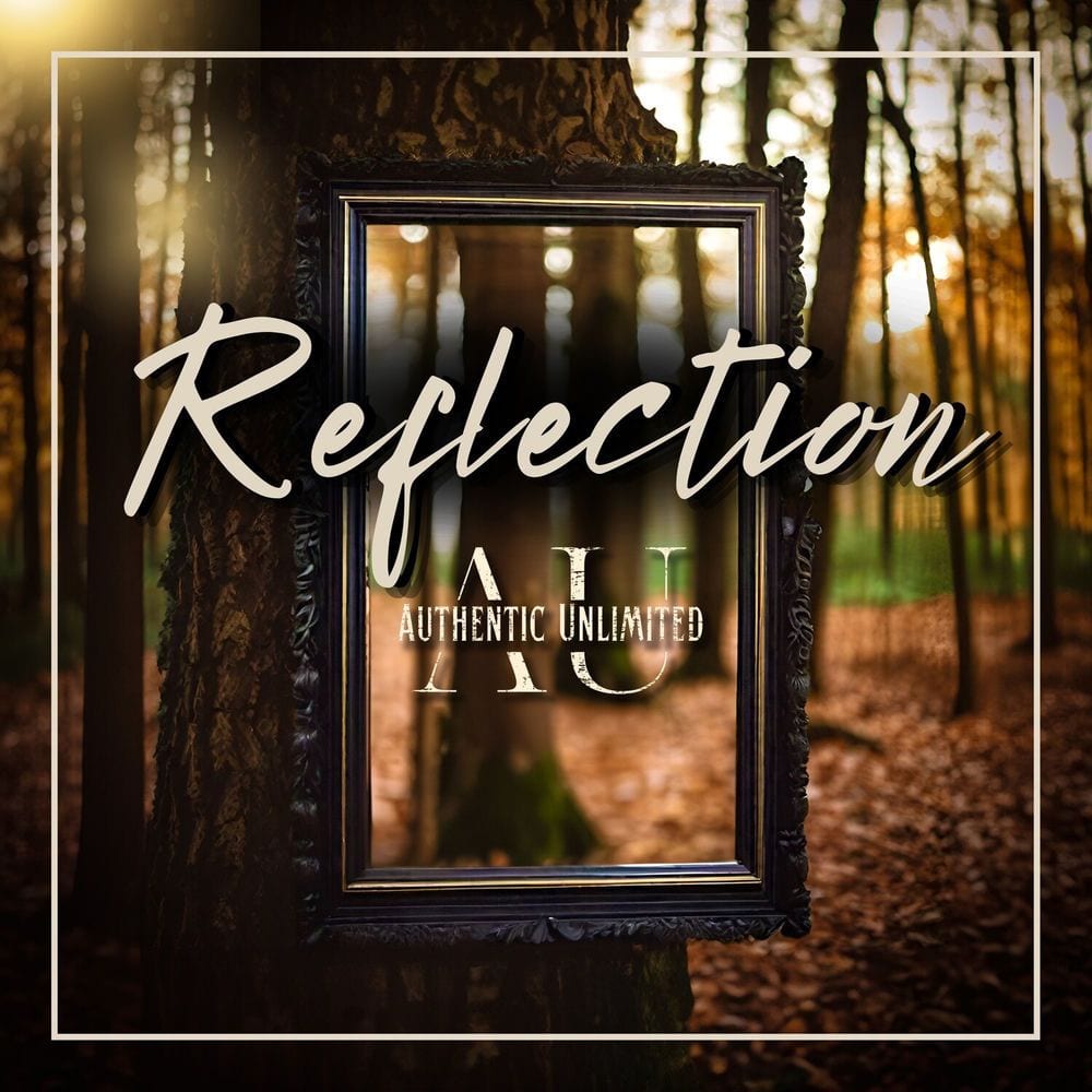 Reflection cover