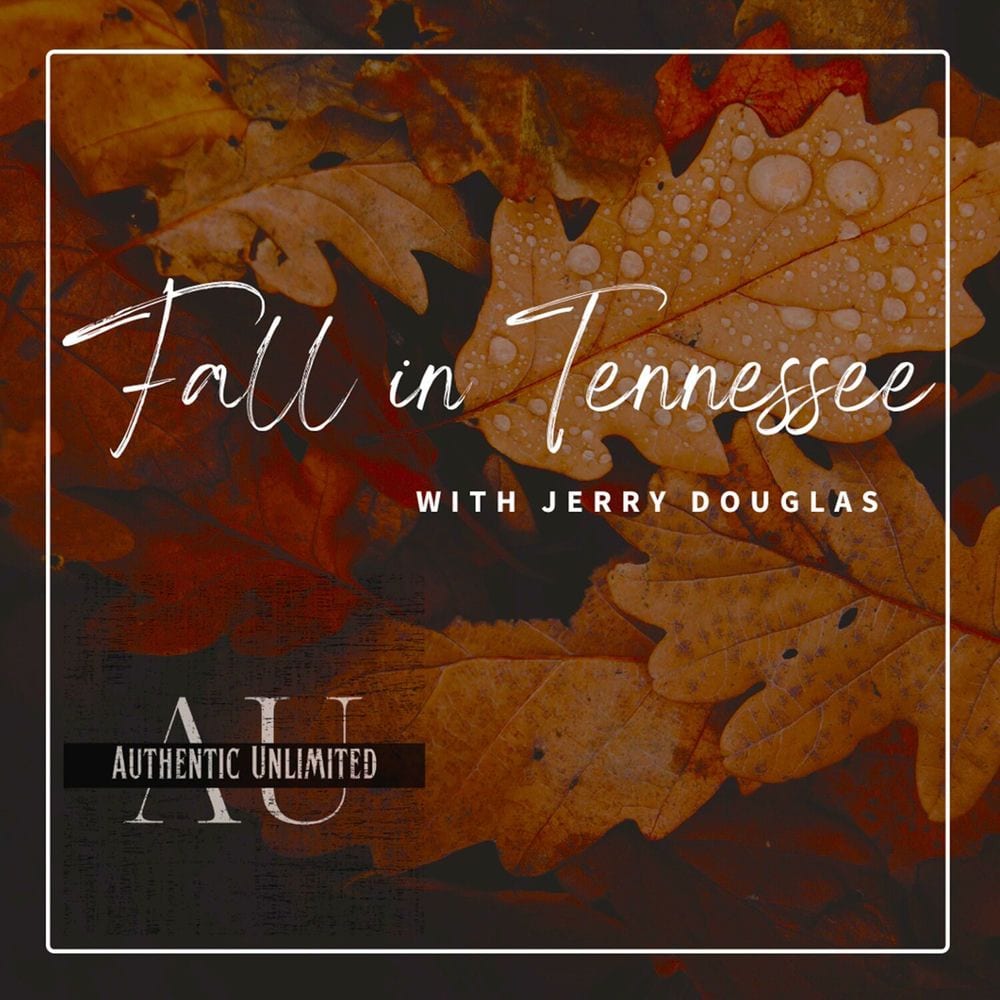 Fall In Tennessee cover