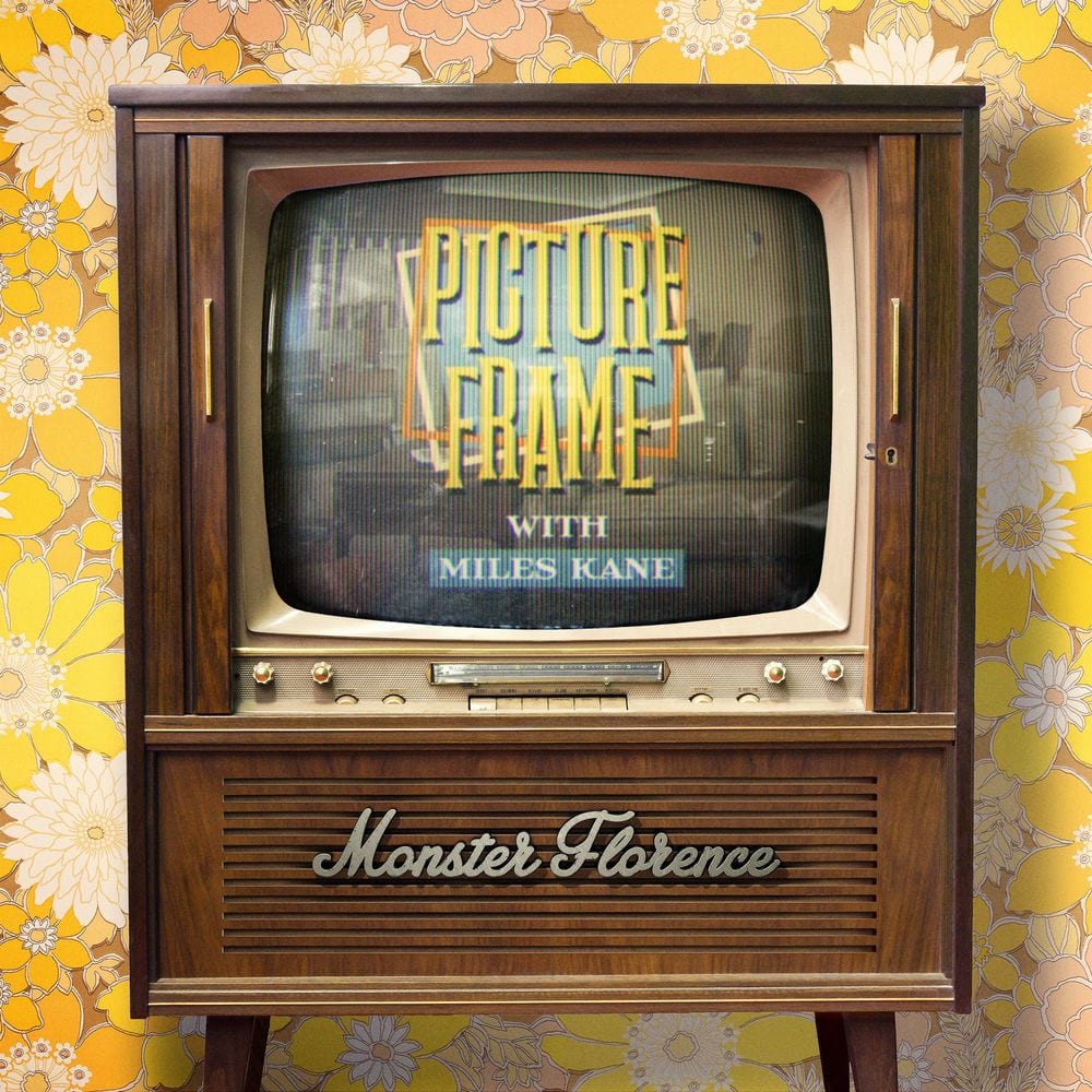 Picture Frame cover