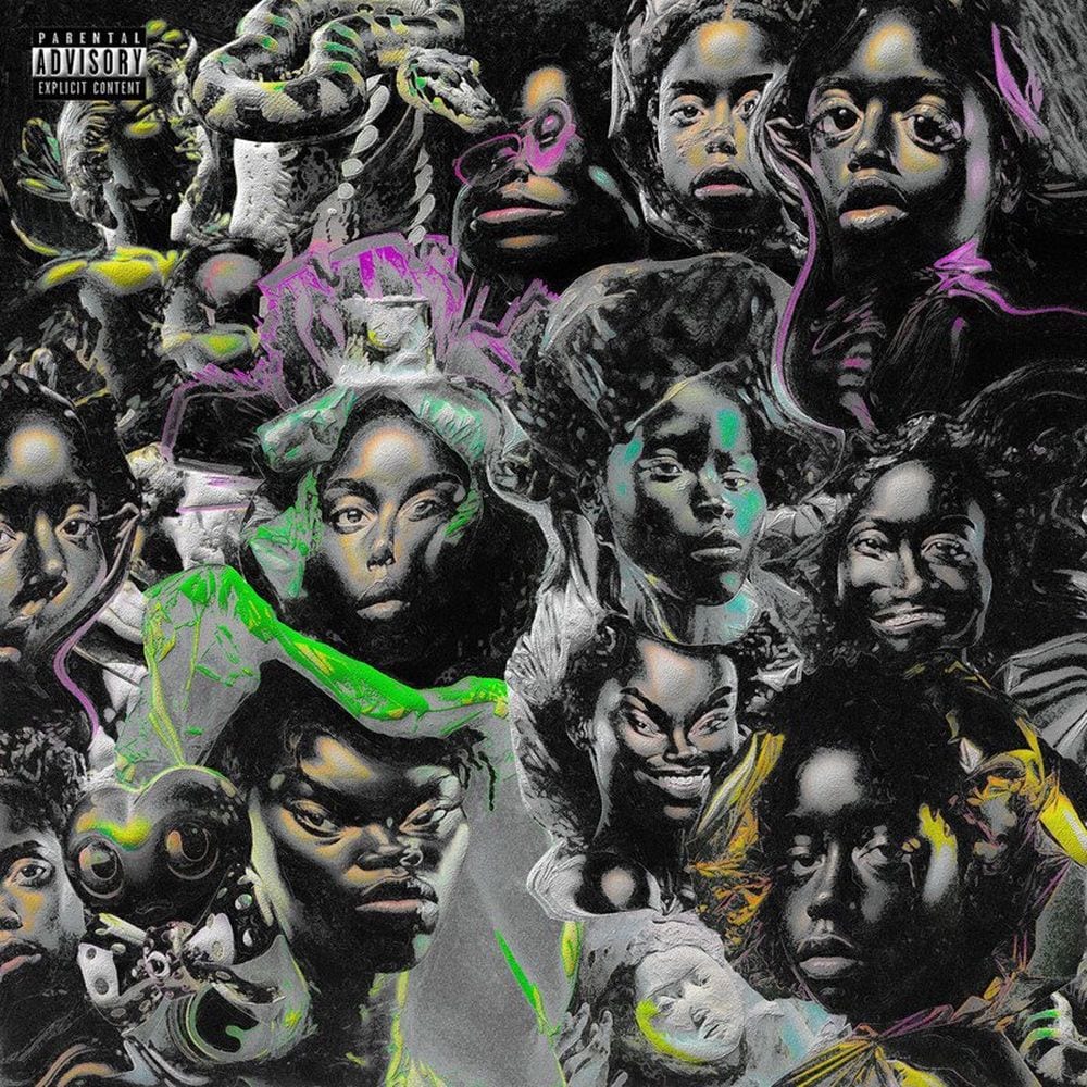 Neva cover