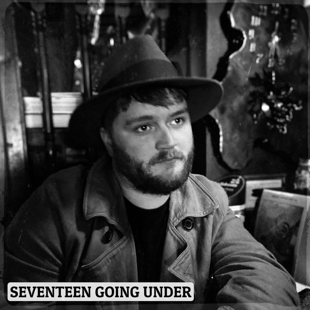 Seventeen Going Under cover