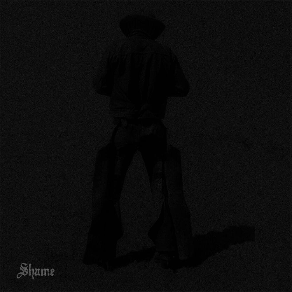 Shame cover