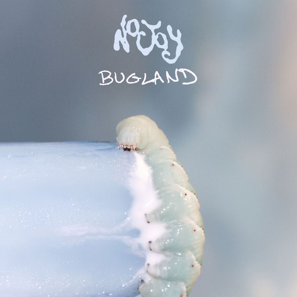 Bugland cover