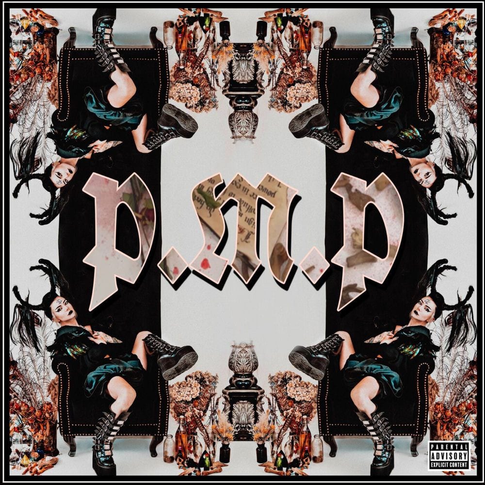 P.M.P cover