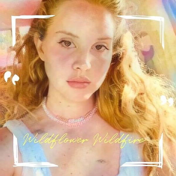 Wildflower Wildfire cover