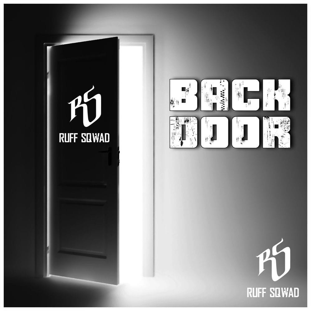 Back Door cover