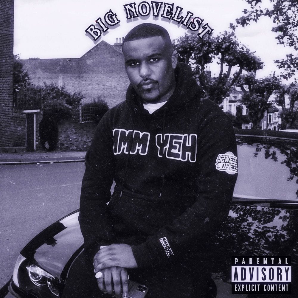 BIG NOVELIST cover