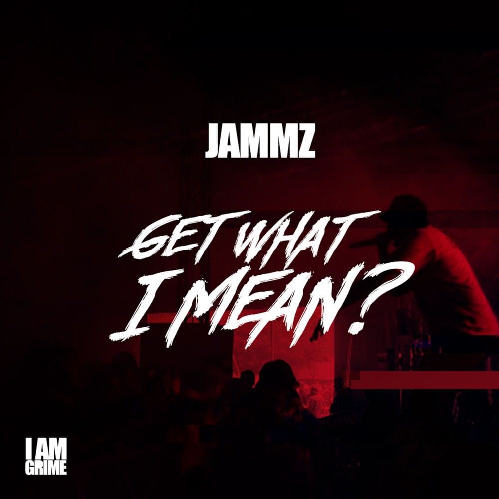 Get What I Mean cover
