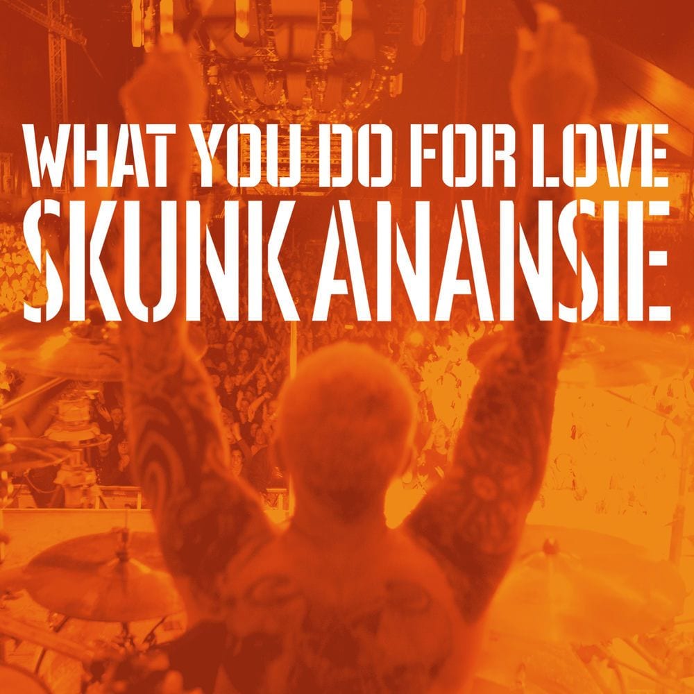 What You Do For Love cover