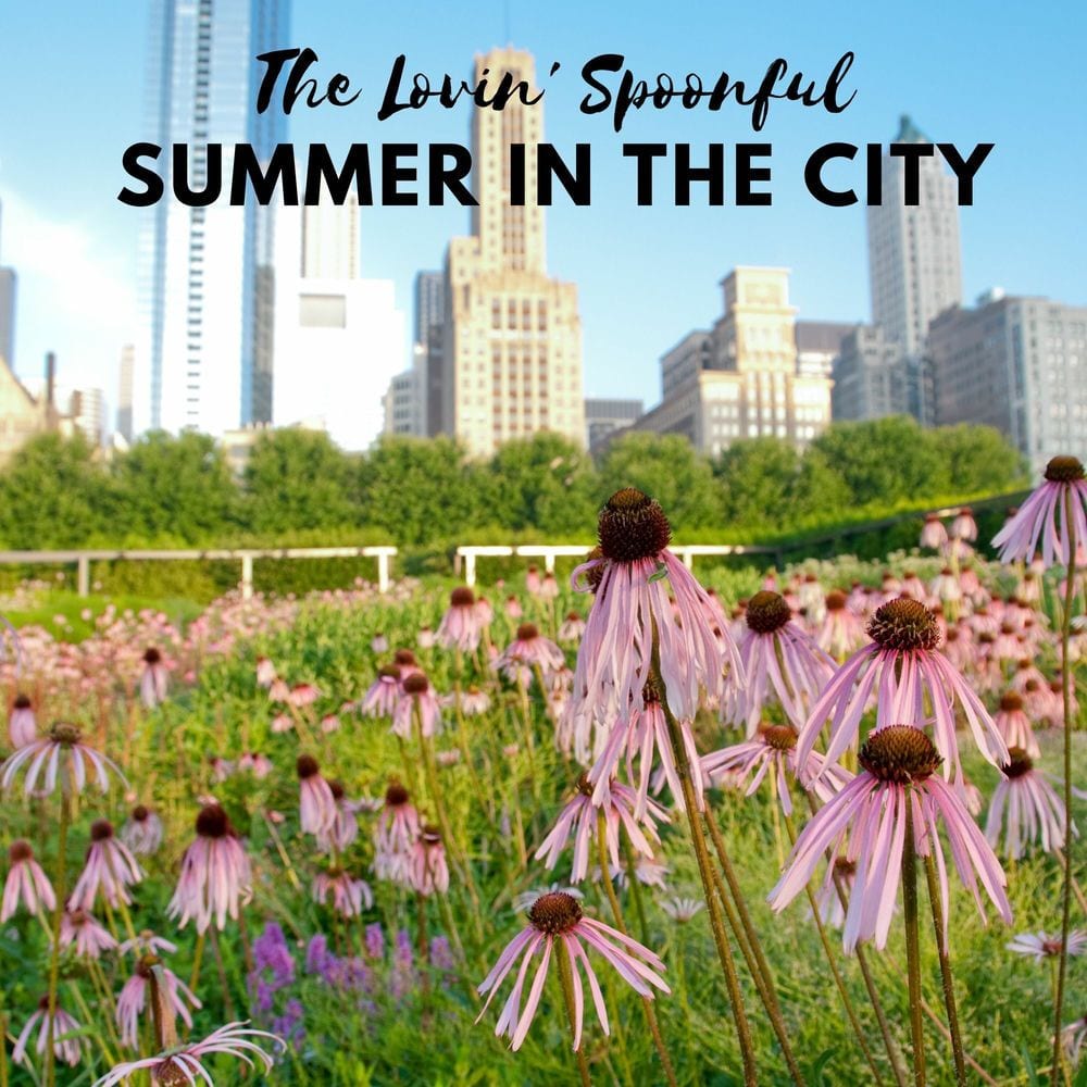 Summer in the City cover