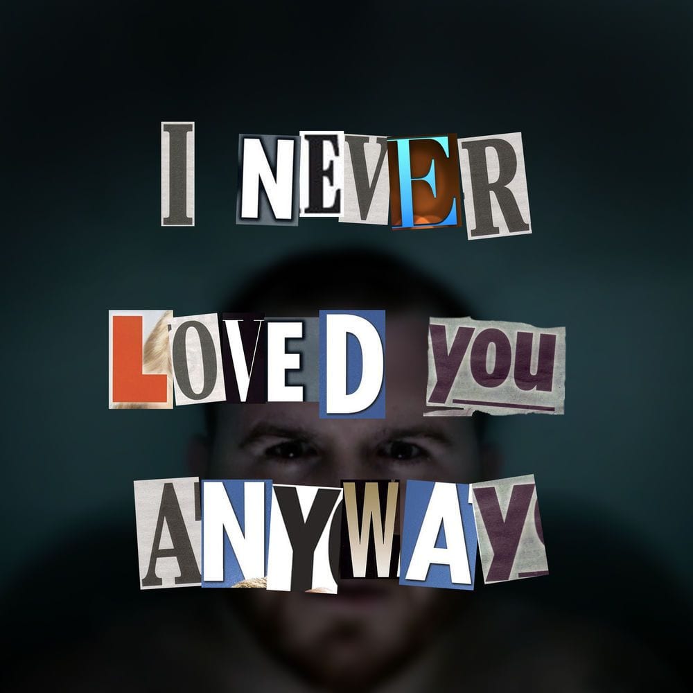 I Never Loved You Anyway cover
