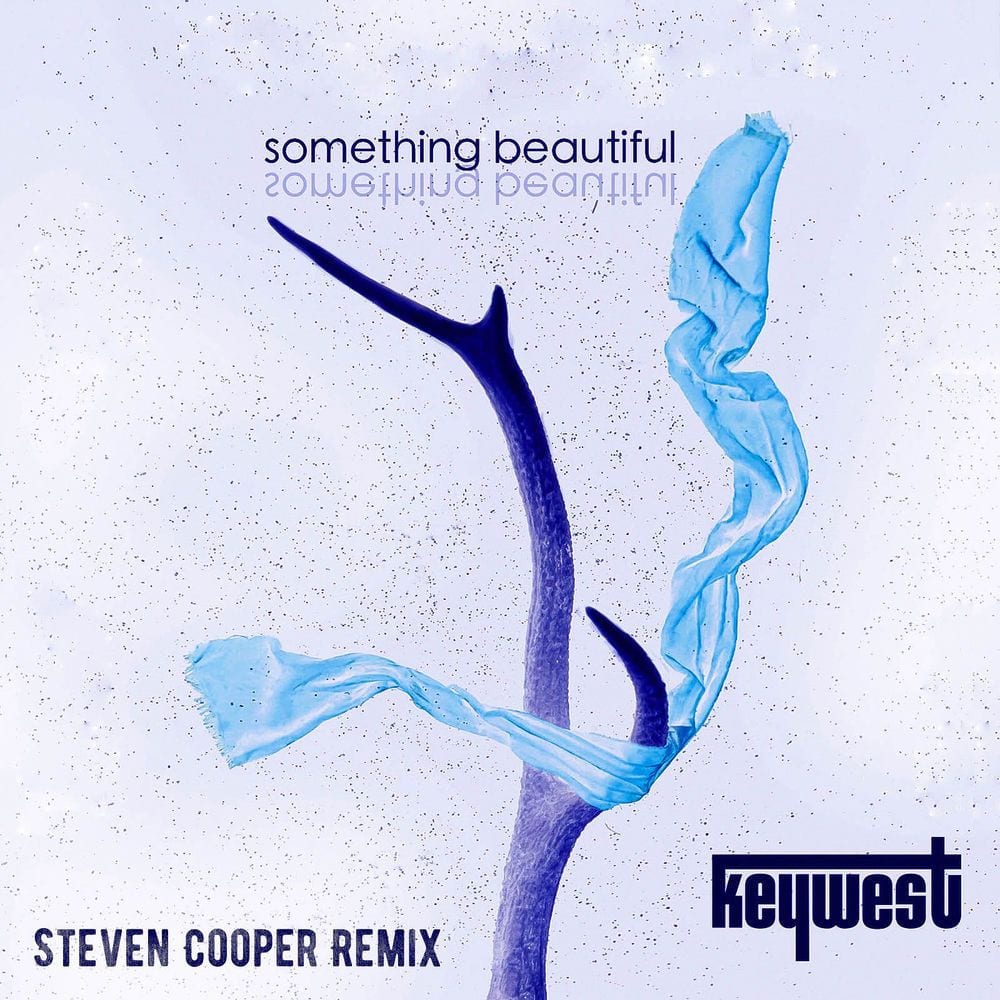 Something Beautiful (Steven Cooper Remix) cover