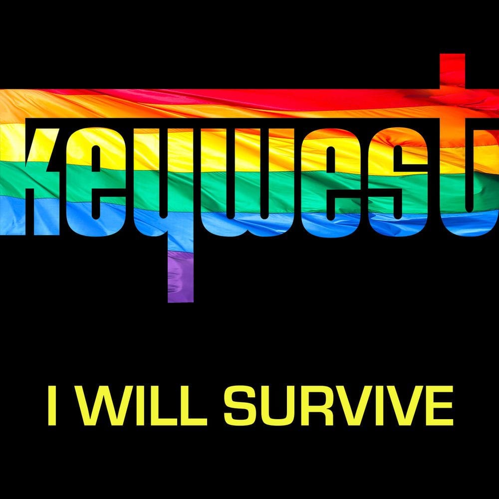 I Will Survive (Originally Performed By Gloria Gaynor) cover