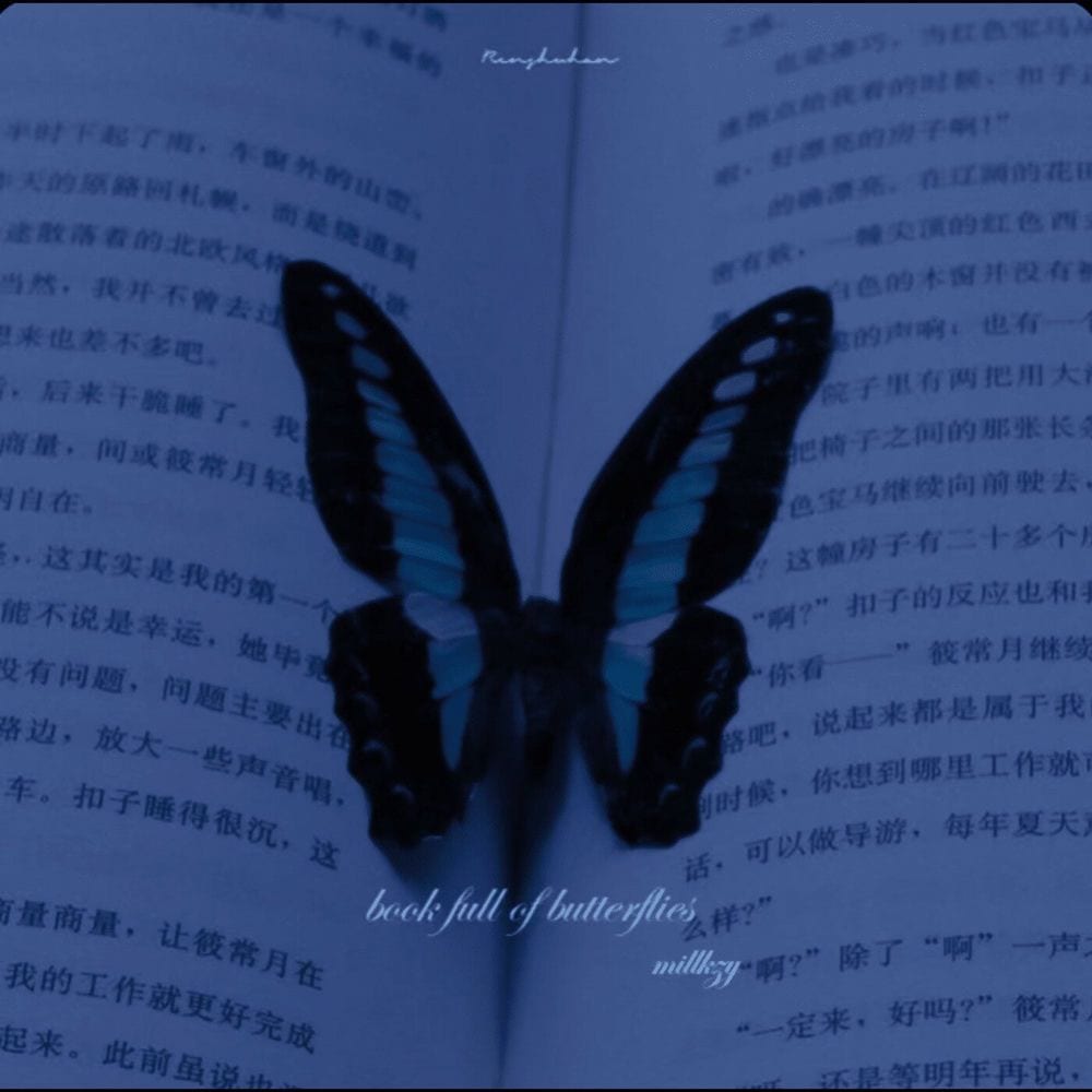 book full of butterflies cover