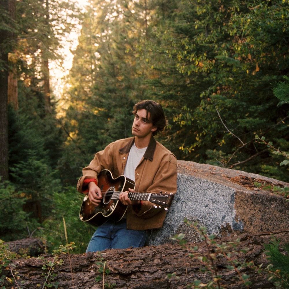 The Pines cover