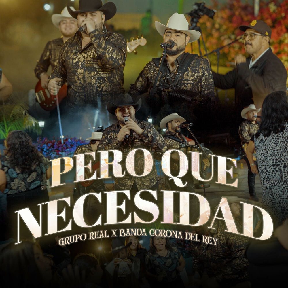 Pero Que Necesidad (En Vivo) cover