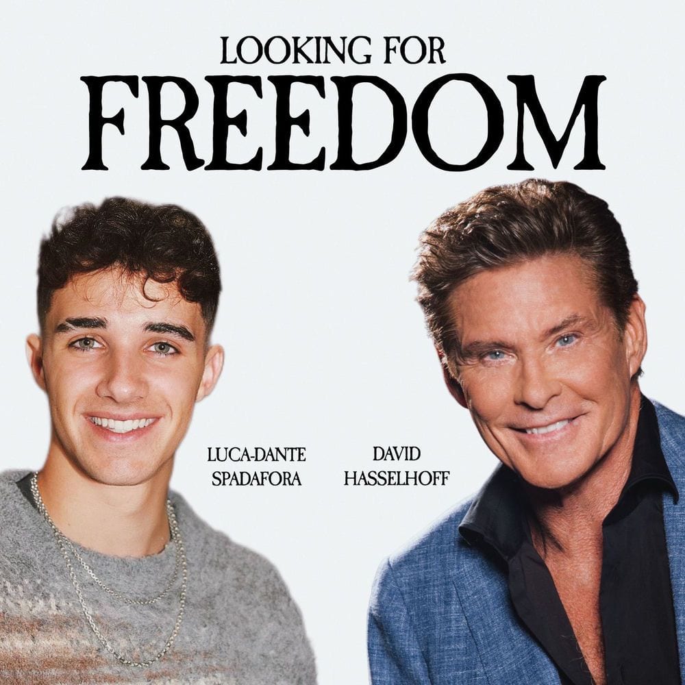 Looking for Freedom cover