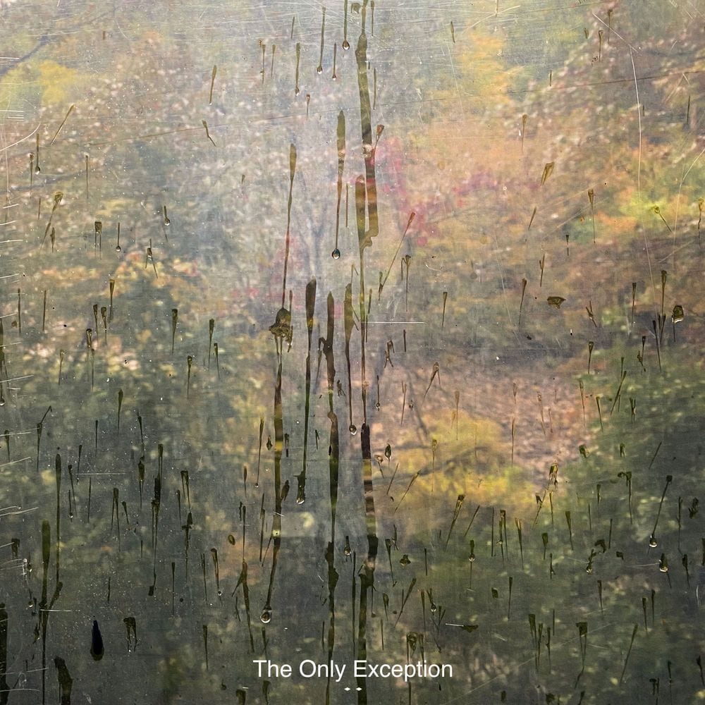 The Only Exception cover