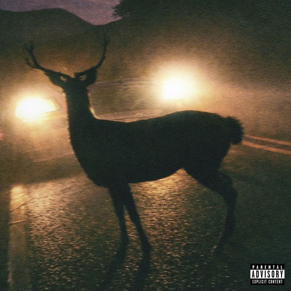 Karma cover