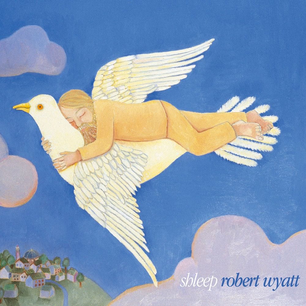 Shleep cover