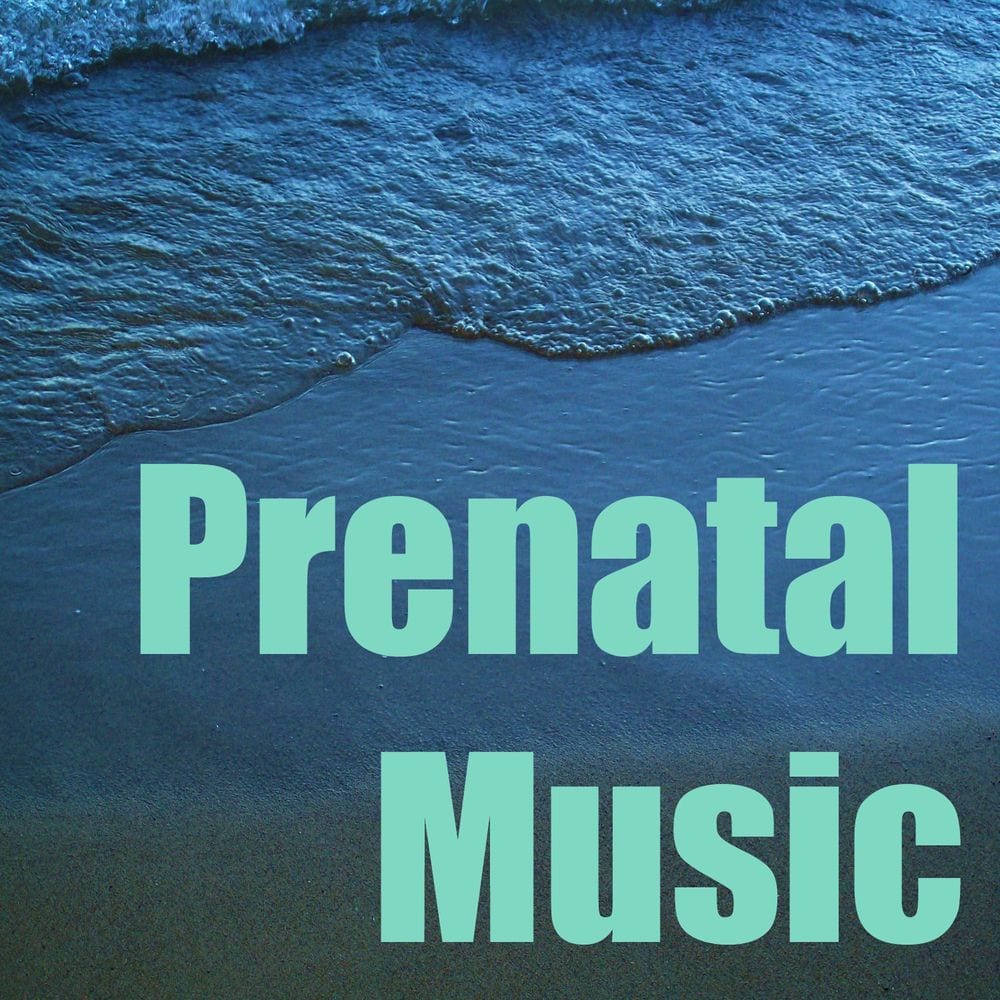 Prenatal Music cover