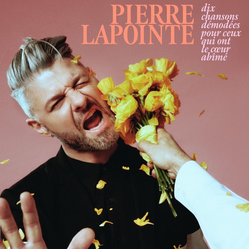 Dix chansons démodées pour ceux qui ont le cœur abîmé cover