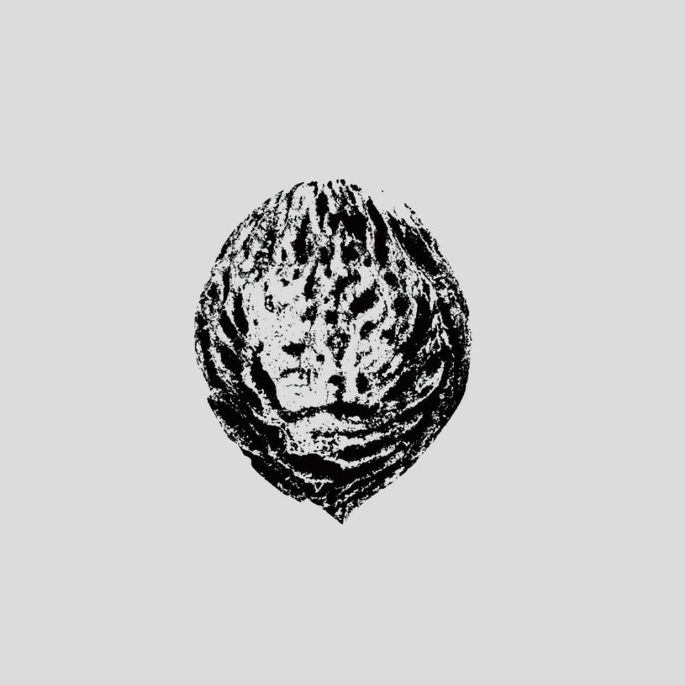 Kingdom Come album cover