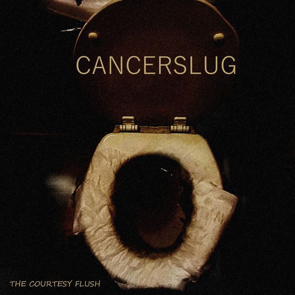 The Courtesy Flush album cover