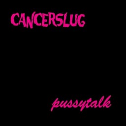 Pussytalk album cover