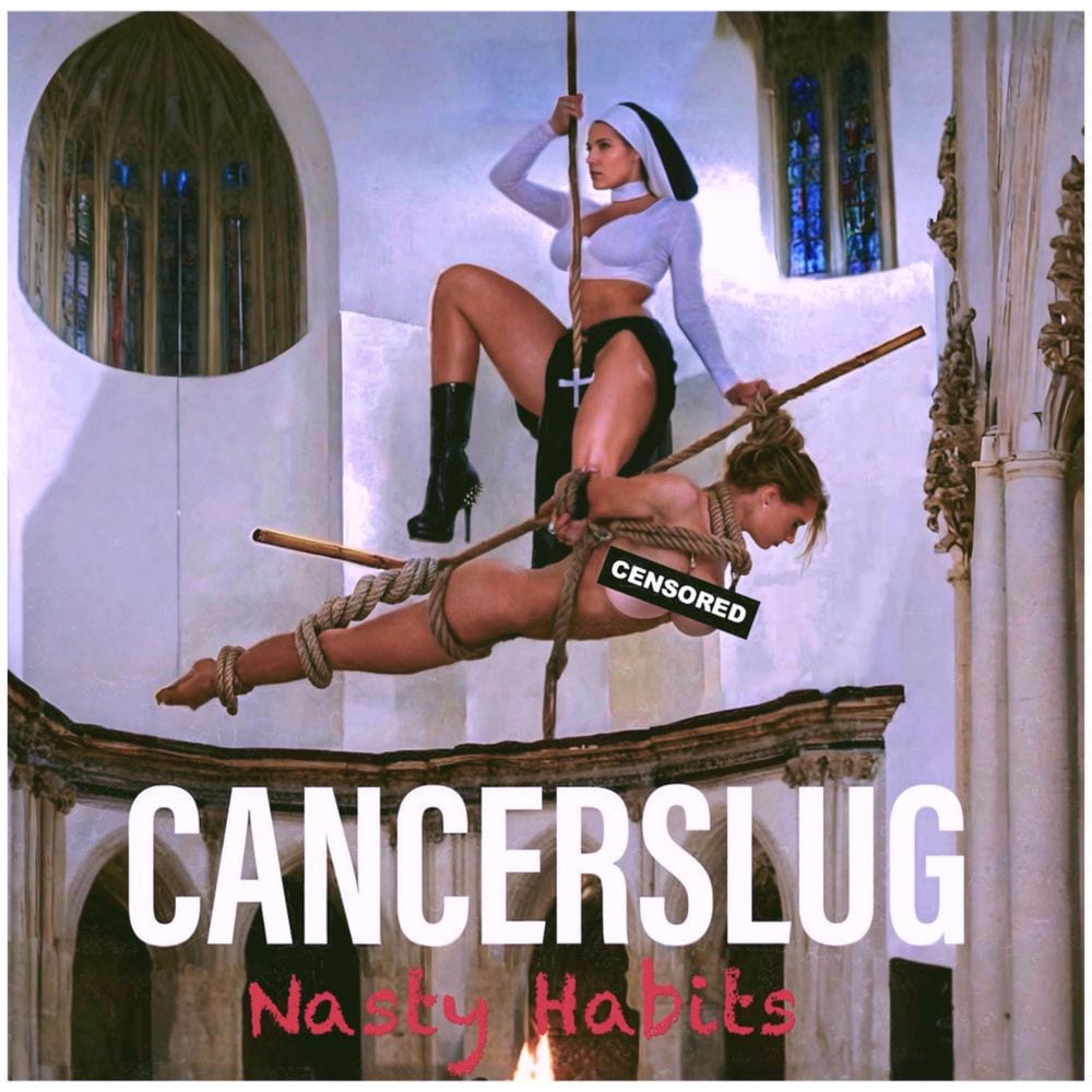 Nasty Habits cover