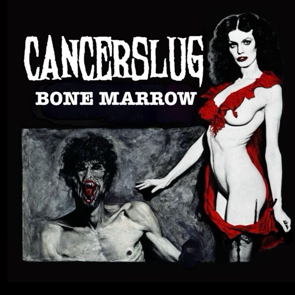 Bone Marrow cover