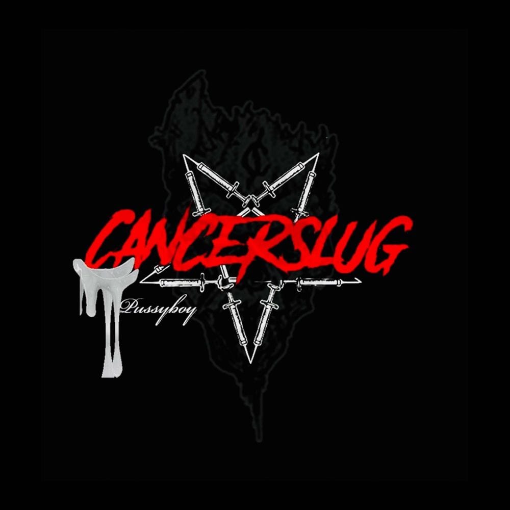 PussyBoy (Single Version) cover