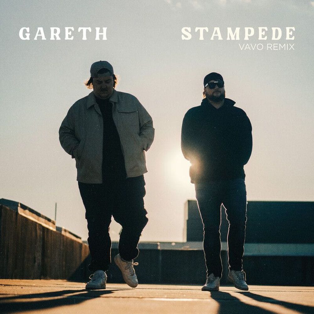 Stampede (VAVO Remix) cover