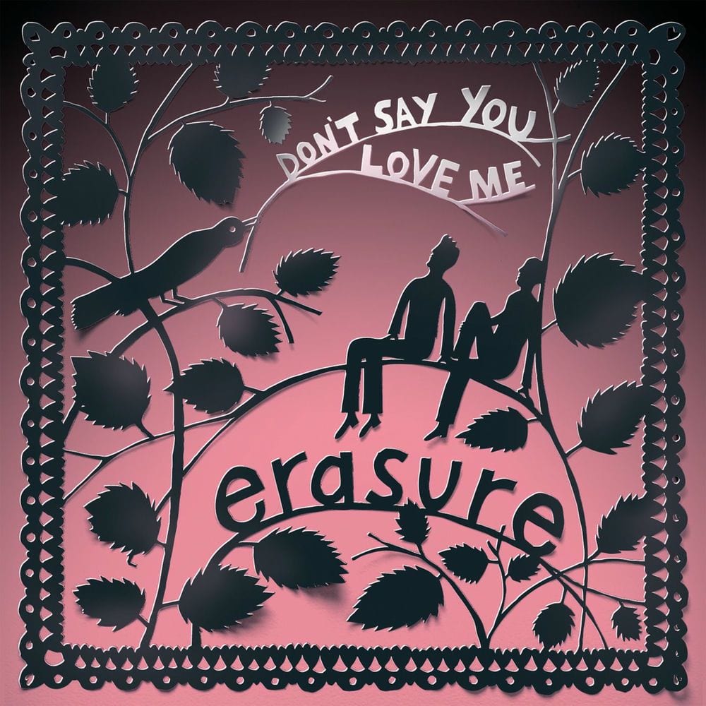 Don't Say You Love Me cover