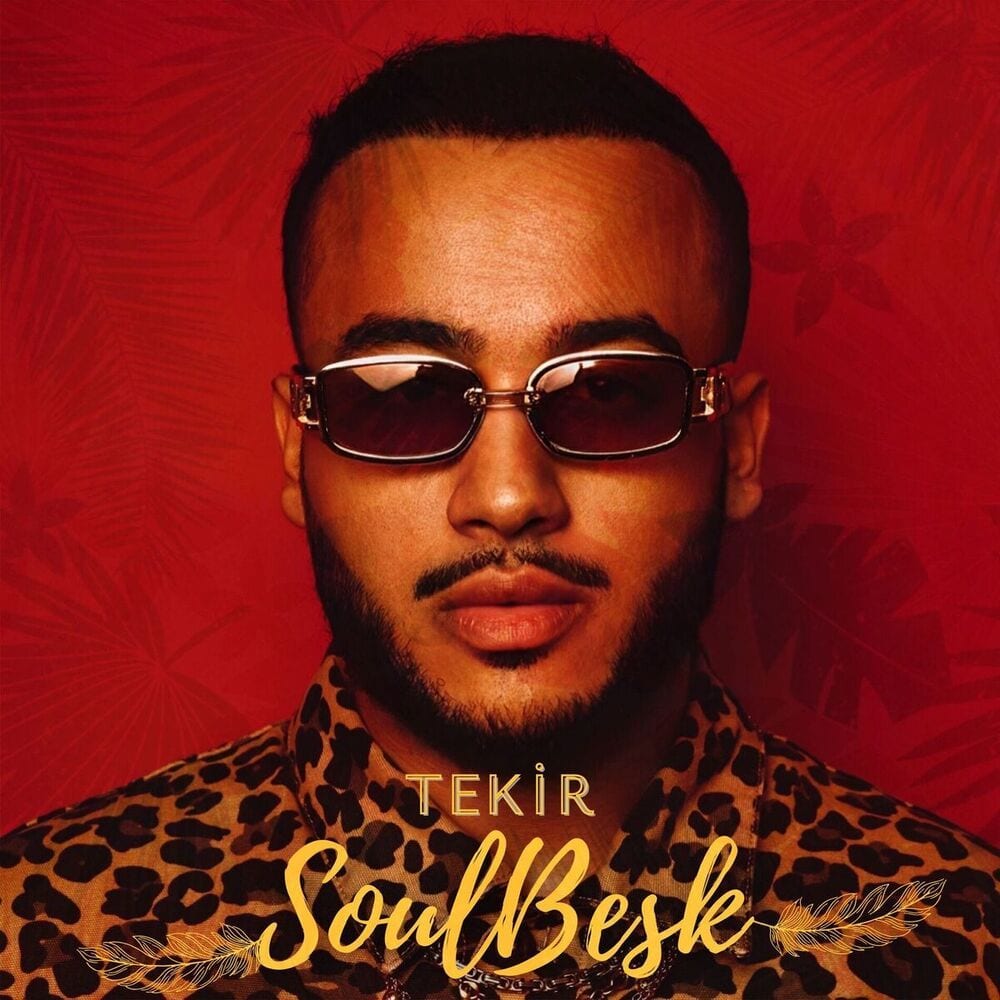SoulBesk cover