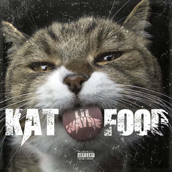 Kat Food cover