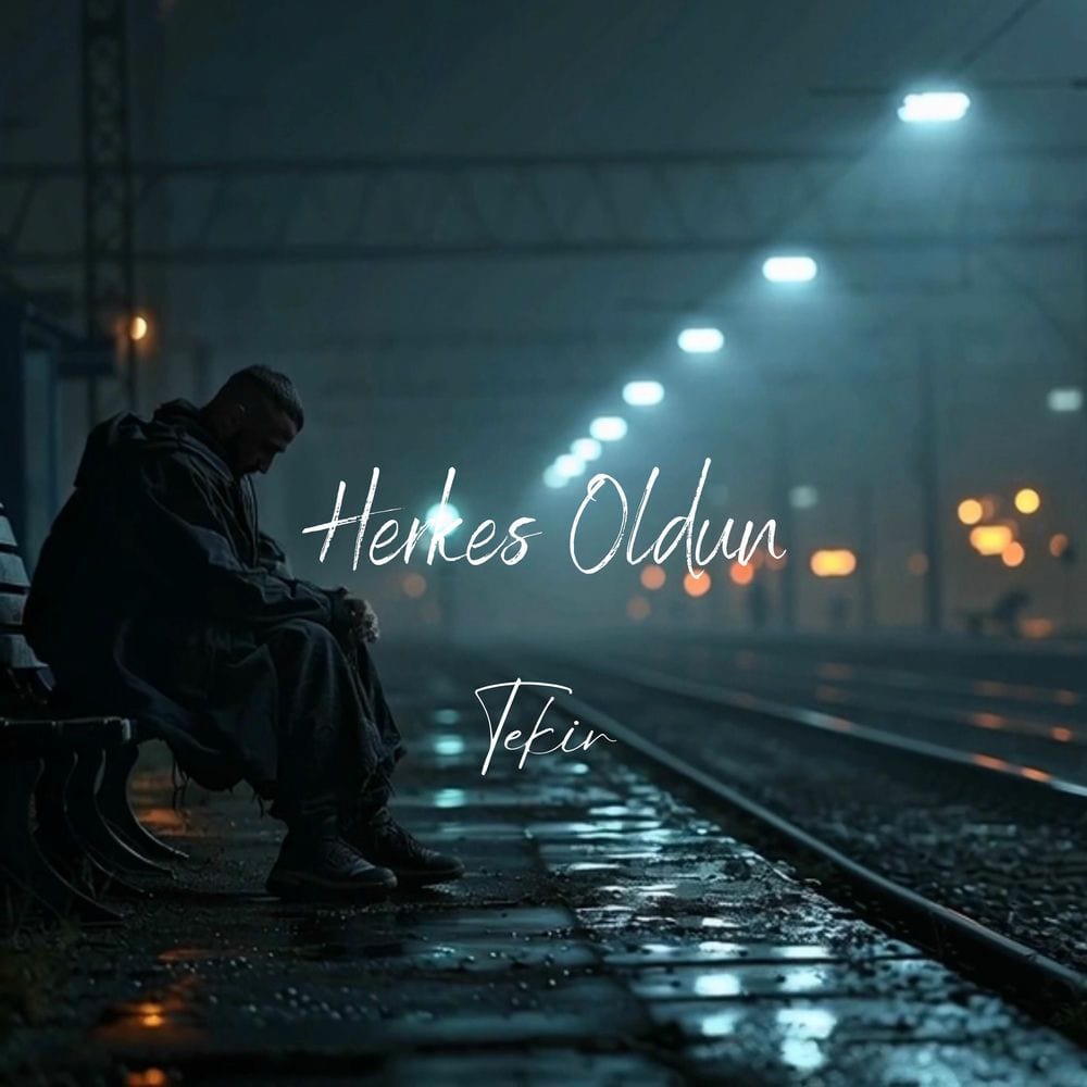 Herkes Oldun cover