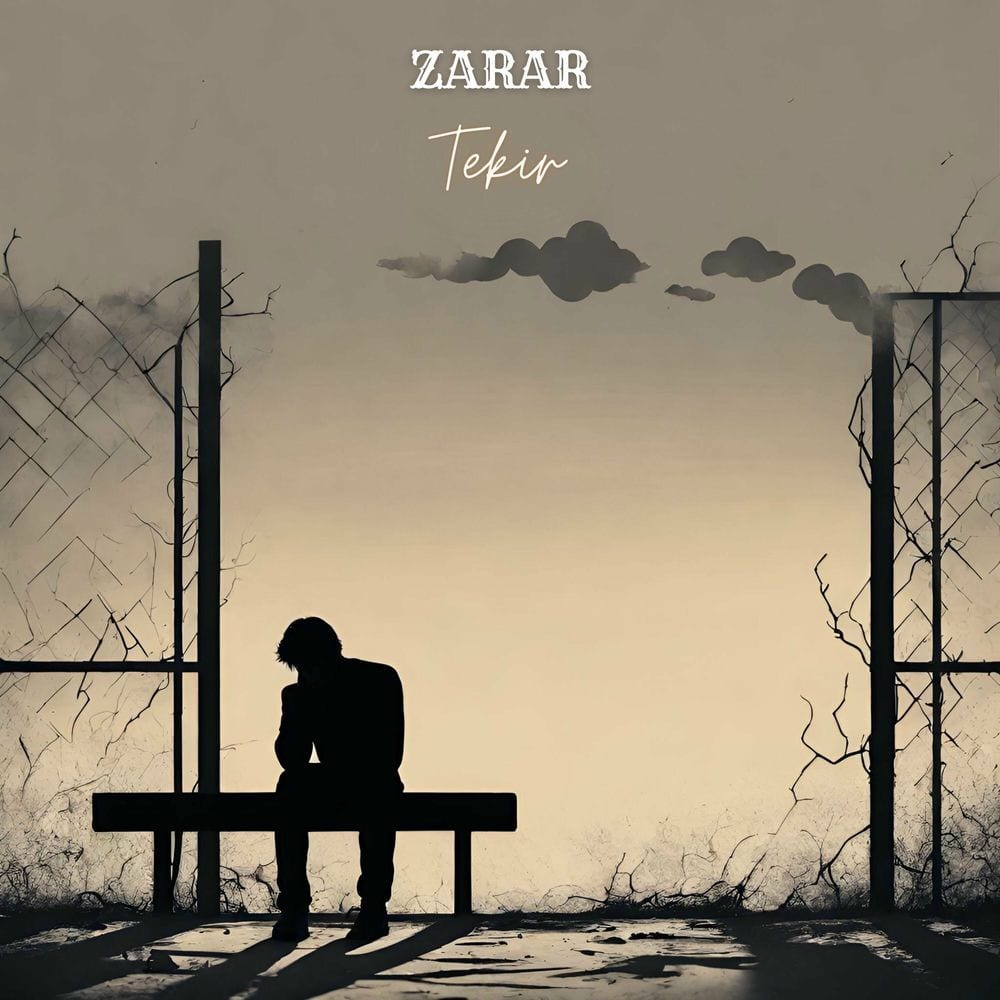 Zarar cover