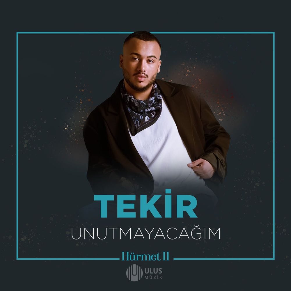 Unutmayacağım (İbrahim Erkal Hürmet 2) cover