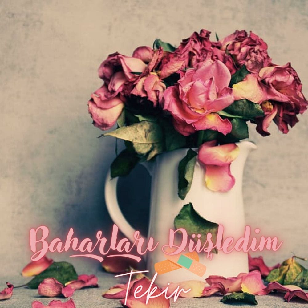 Baharları Düşledim cover