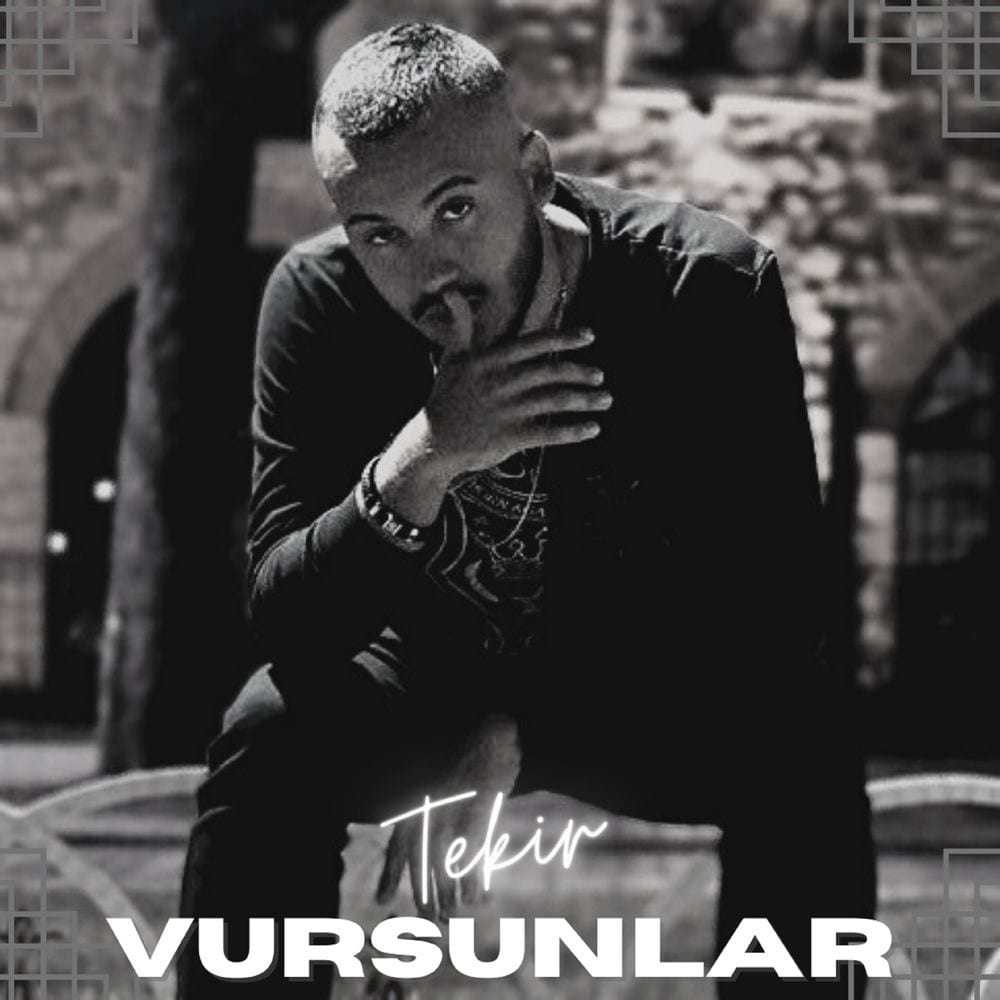 Vursunlar cover