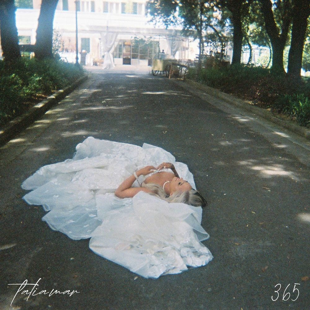 365 cover