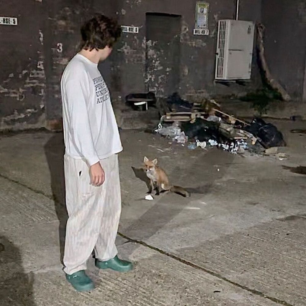 Rascal cover