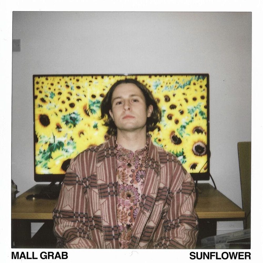 Sunflower cover