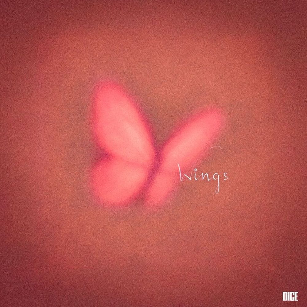 Wings cover