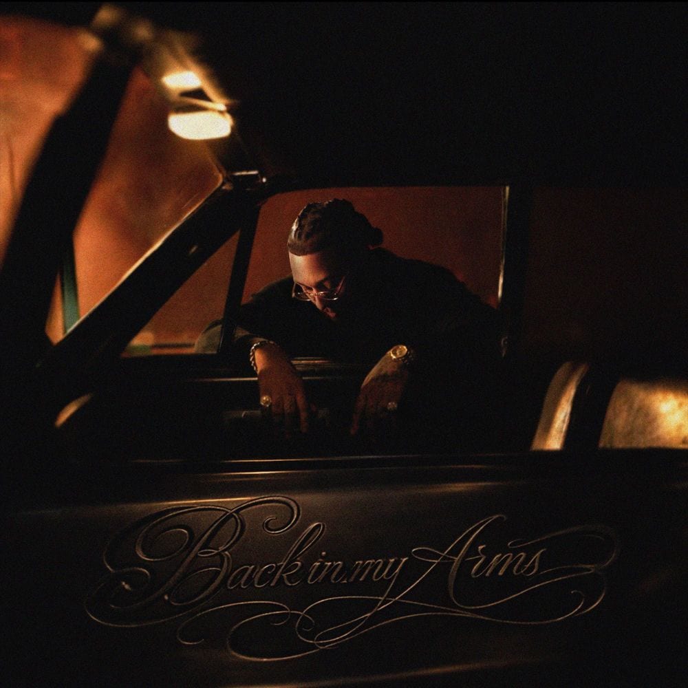 BACK IN MY ARMS cover