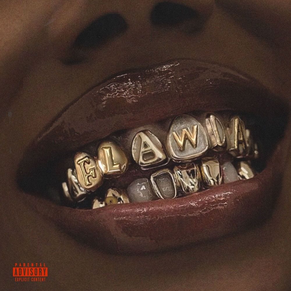 FLORIDA BABY cover
