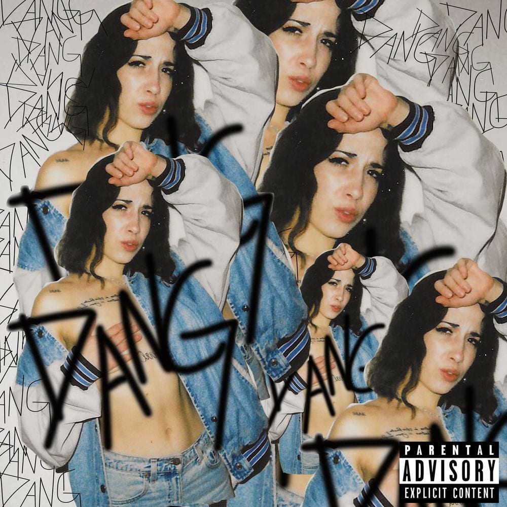 DANG cover