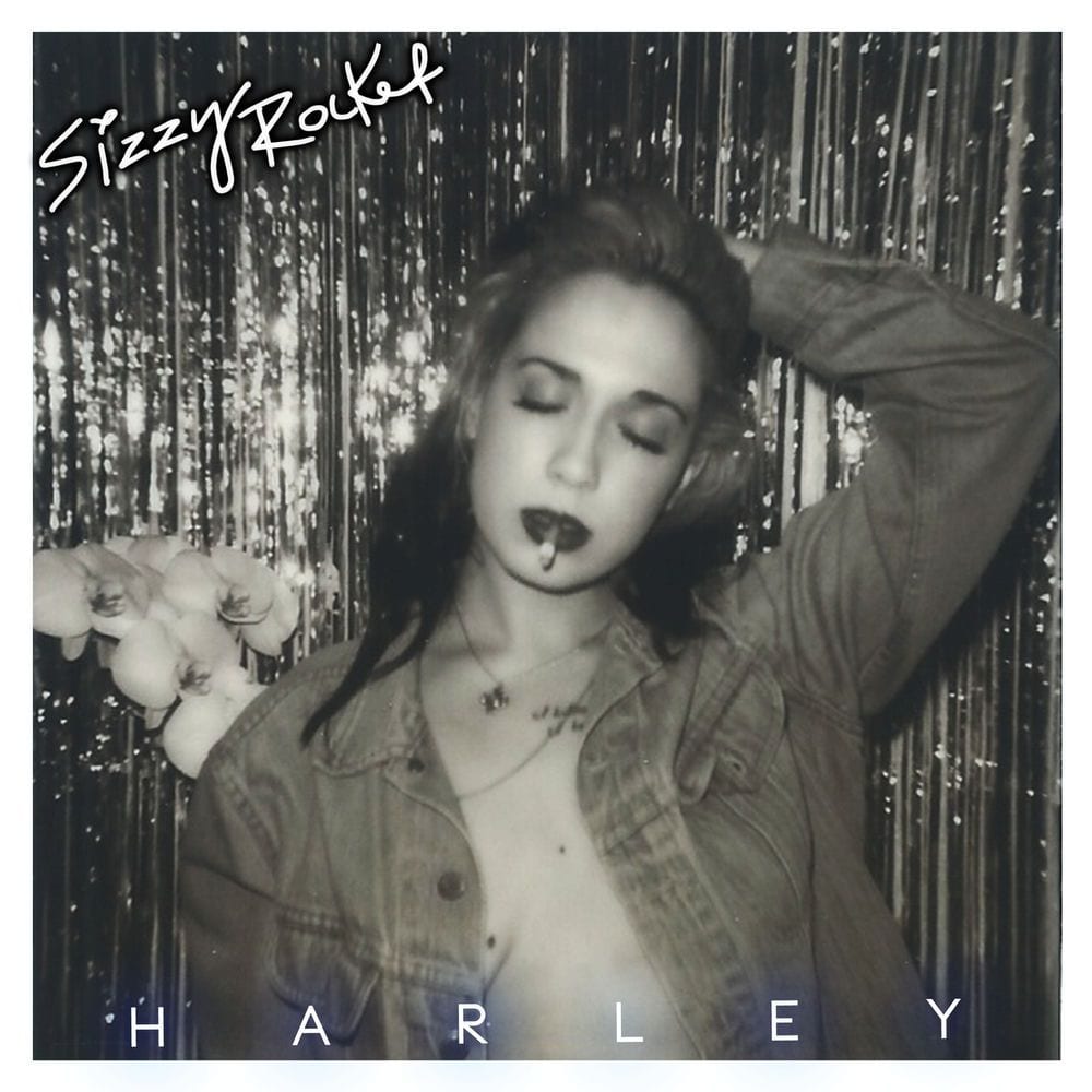 Harley cover