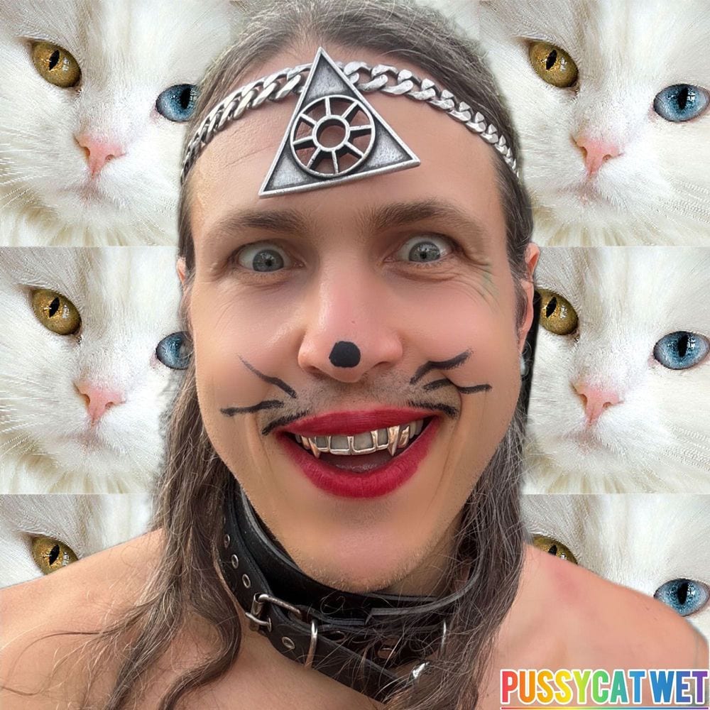 PussyCat Wet cover